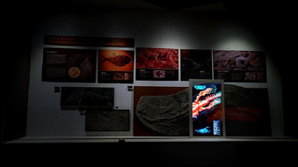 AR增强现实展项在展厅展馆设计中的应用